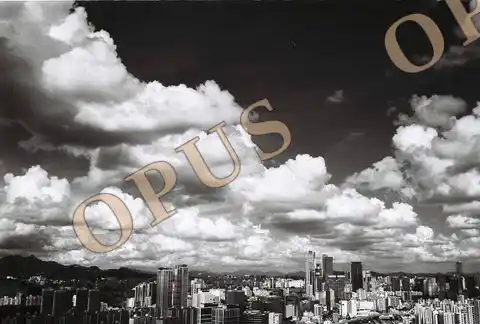 Cloudy Day — OpusStore