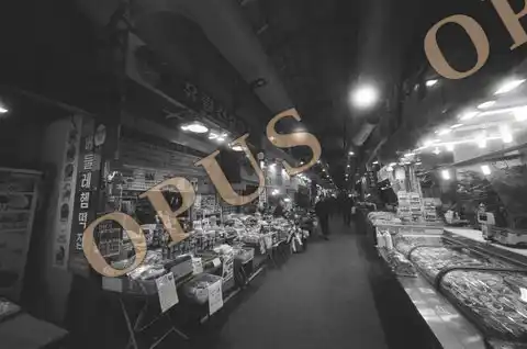Bazaar — OpusStore